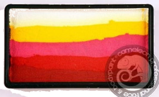 Colorblock "Roses"
